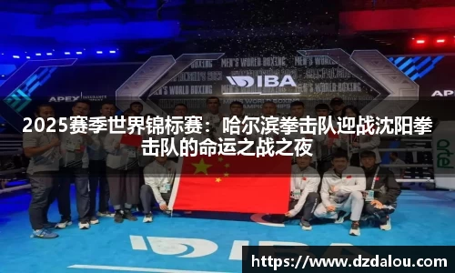 2025赛季世界锦标赛：哈尔滨拳击队迎战沈阳拳击队的命运之战之夜