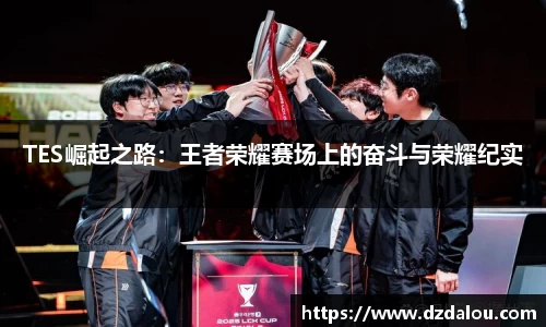 TES崛起之路:王者荣耀赛场上的奋斗与荣耀纪实